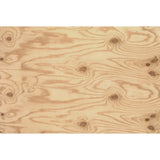 Wood-Tone cdx plywood sheathing 12 x 18 x 15/32 inch